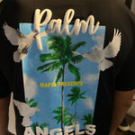 Camiseta Hombre PALM